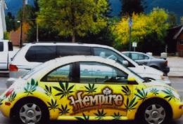 The Hempire